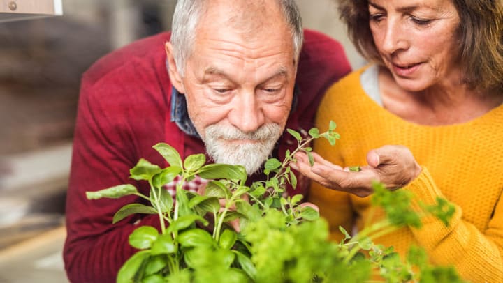 How Alzheimers Impacts the 5 senses