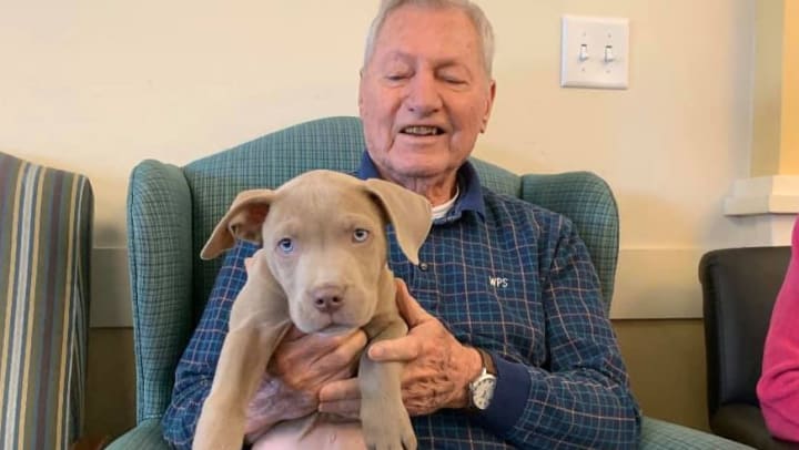 Animal therapy for individuals with dementia