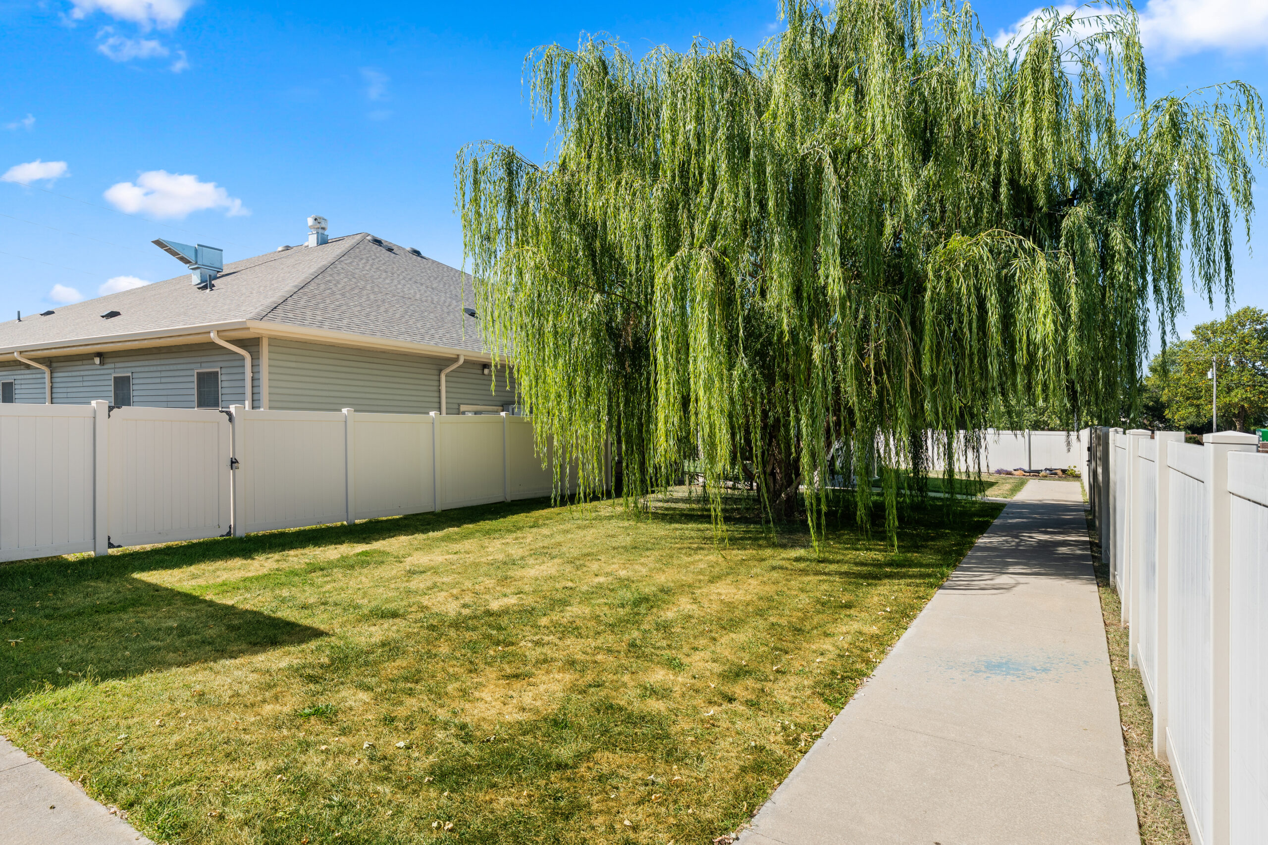 courtyard with large tree