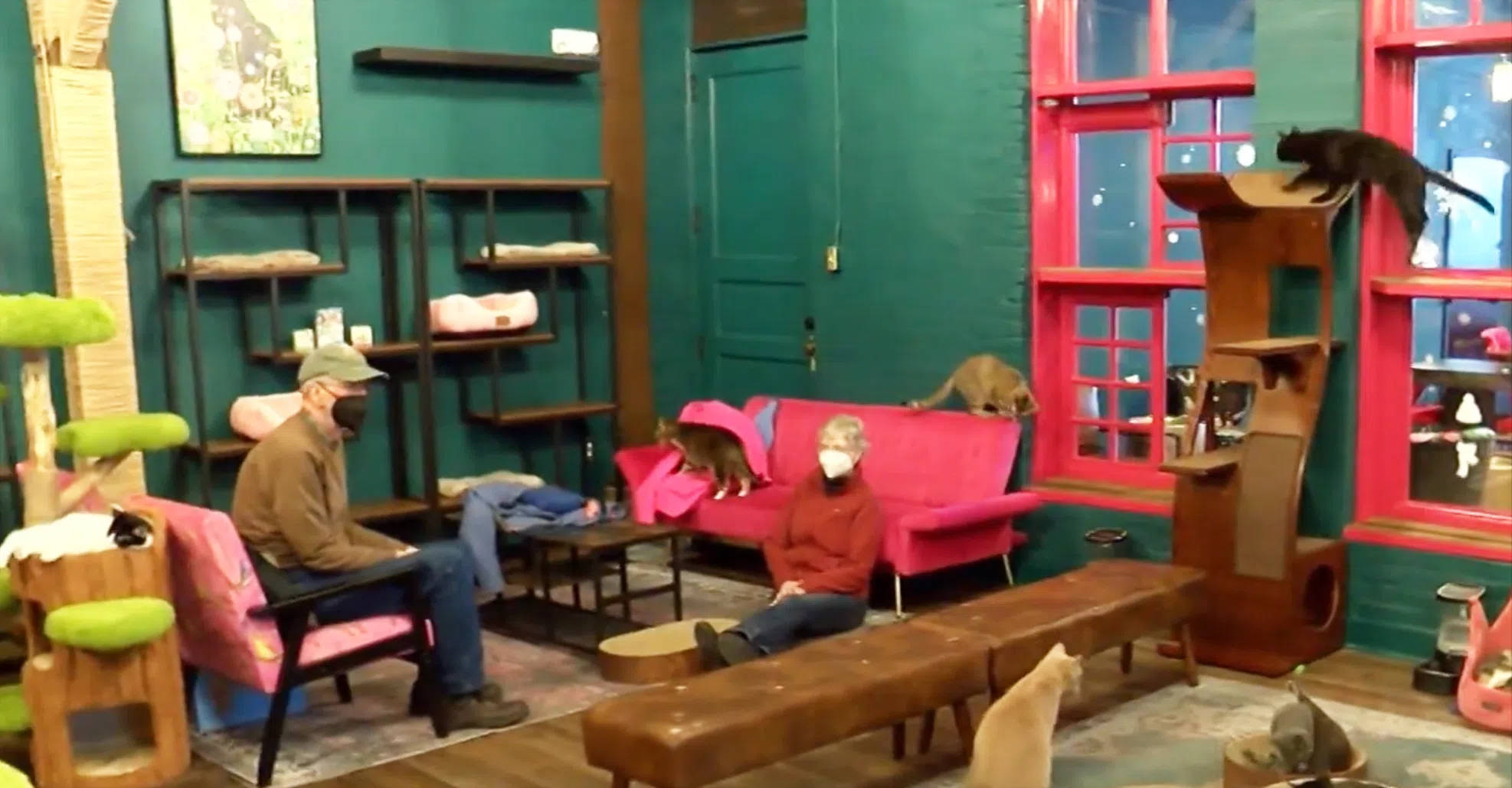 Savoy Place Memory Care residents deliver hand made blankets to local cat adoption center