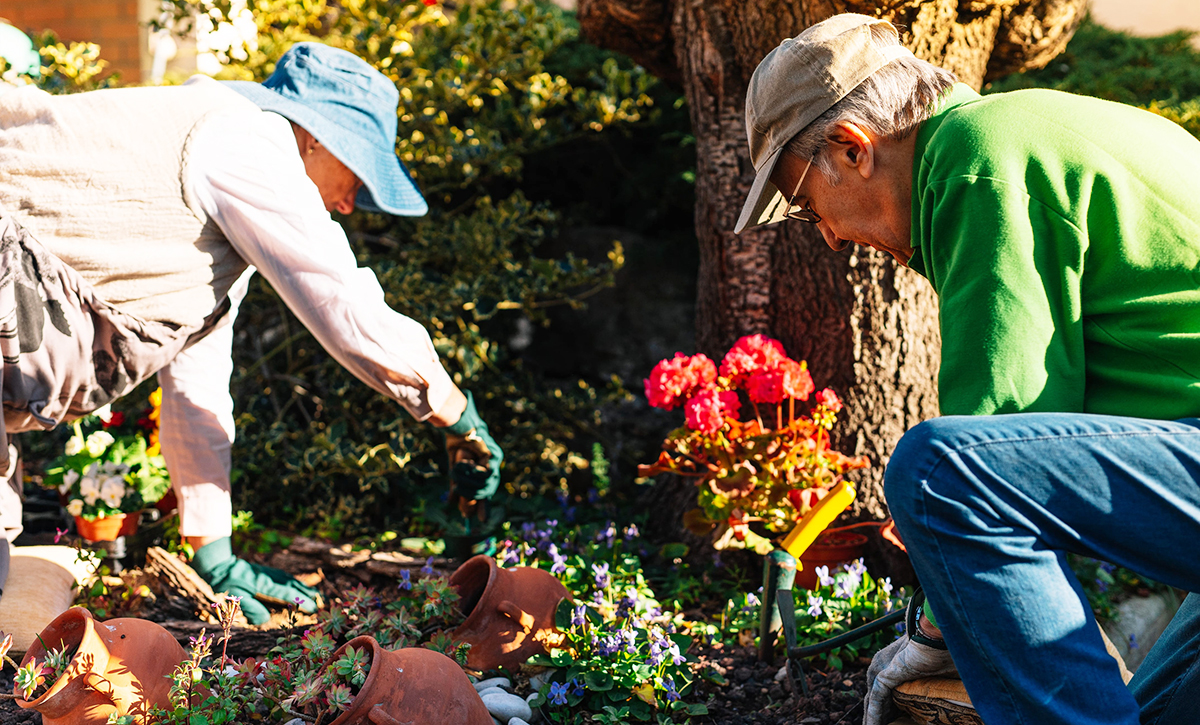 Benefits of gardening for individuals with dementia