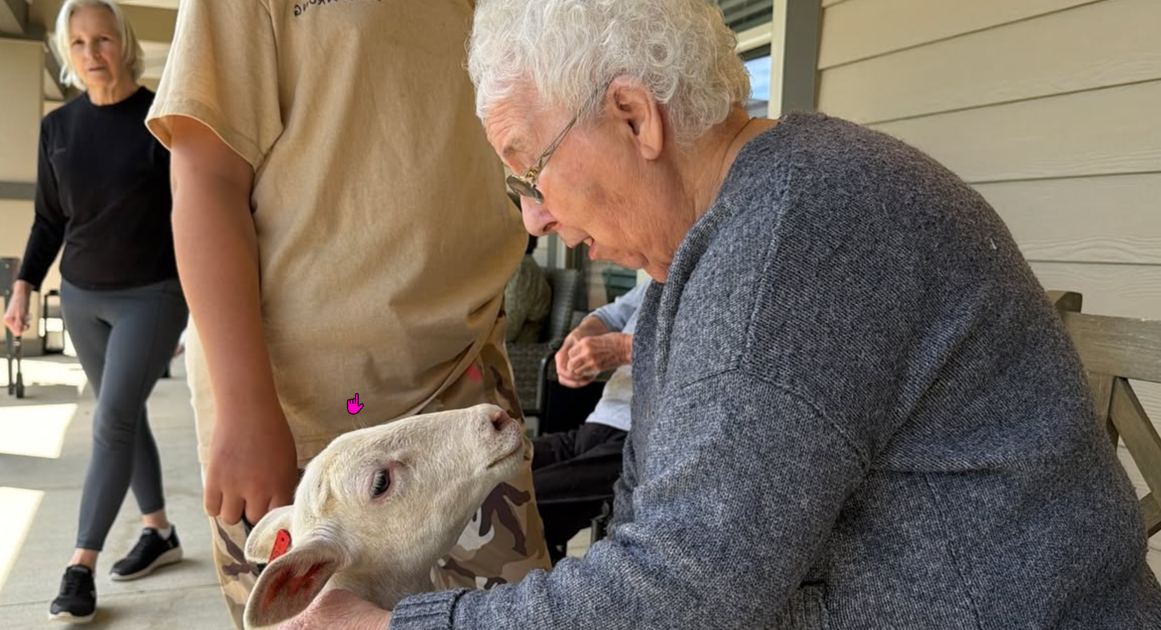 Resident of Liberty Place Memory Care pets a therapy lamb