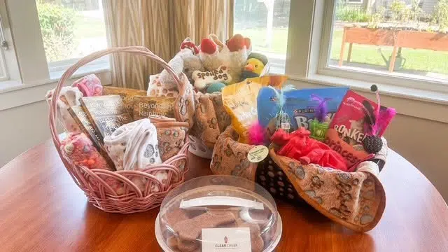 Clear Creek Memory Care residents bring homemade dog treats to local shelter